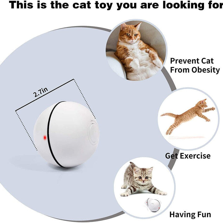 Smart Interactive Pet Ball