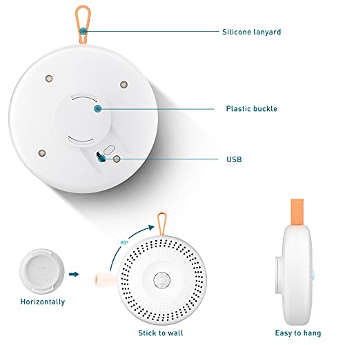 Smart Odor Eliminator for Litter Box