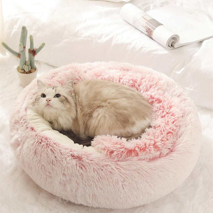 2-in1 Pet Bed